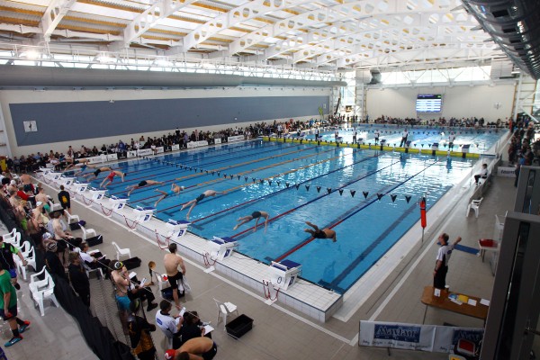 A swimming meet and the racers are just diving into the pool