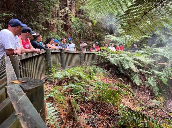 People standing on a bridge looking out to the bush