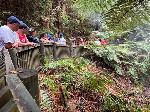 Group of people looking over a fence into a forest