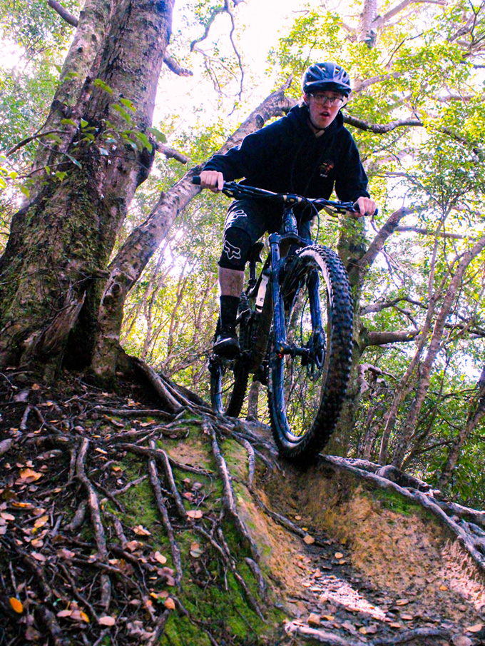 Person riding a mountain bike through a forest