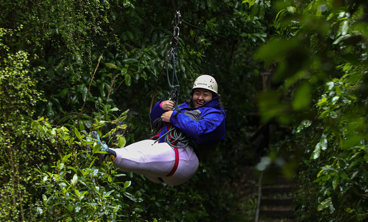 Person on a harness swinging through the forest